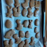 phoca_thumb_m_barevn tden u krtek 55a Fotogalerie